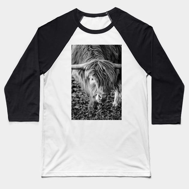 Scottish Highland cattle Baseball T-Shirt by Melissa Peltenburg Travel Photography